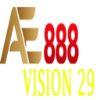 8a0b7c ae888vision29 (1)